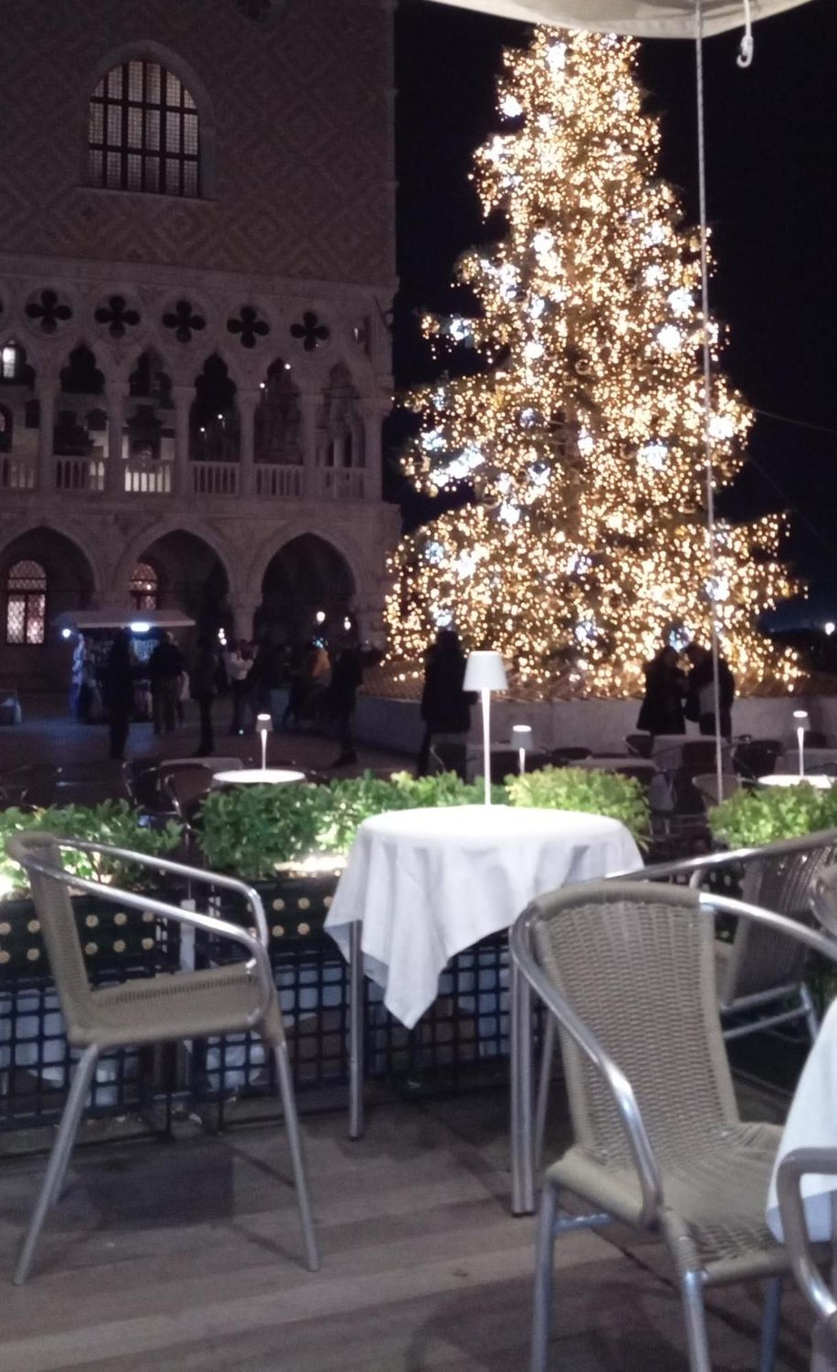 Biennale Bed & Breakfast Venezia