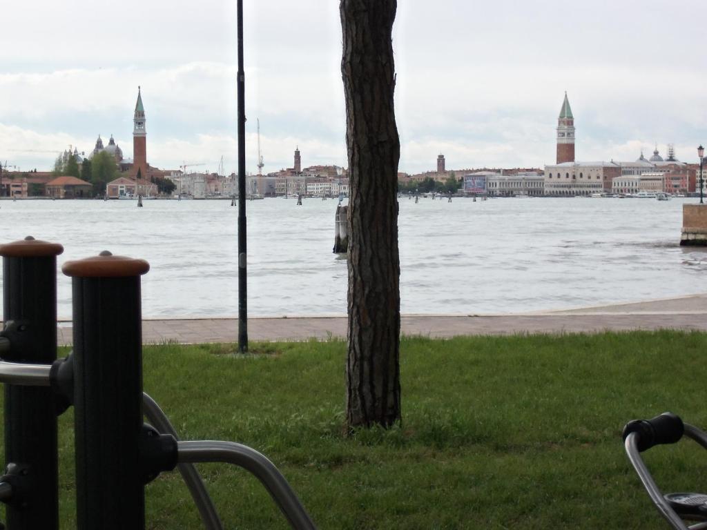 Biennale Venezia
