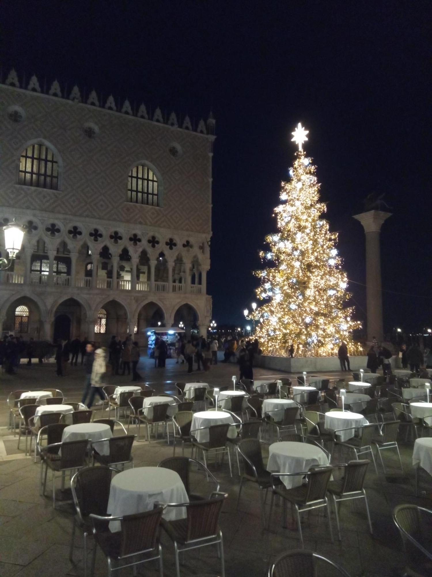 Bed and breakfast Biennale
